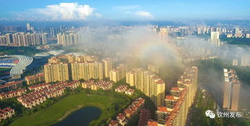 欽州發(fā)文加強(qiáng)房地產(chǎn)市場(chǎng)調(diào)控，促進(jìn)房地產(chǎn)開(kāi)發(fā)行業(yè)健康發(fā)展